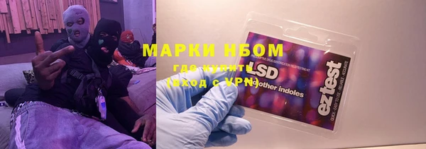 прущие грибы Кулебаки