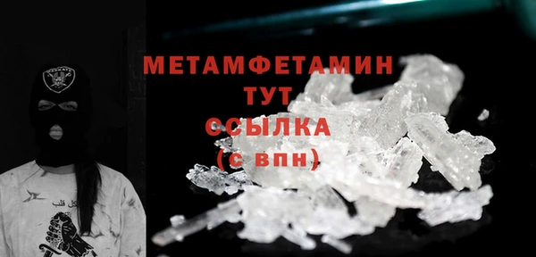 прущие грибы Кулебаки