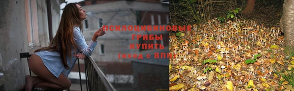 ECSTASY Лабытнанги