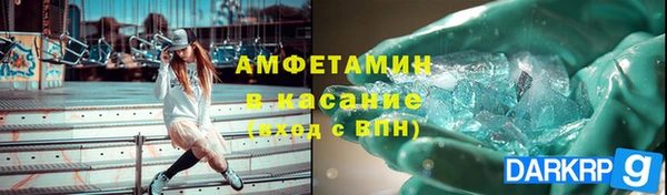 прущие грибы Кулебаки
